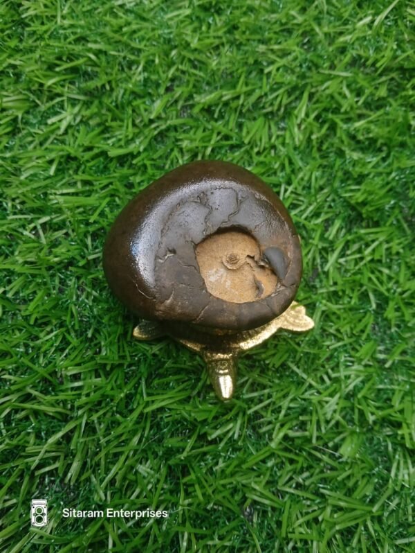 Chakra Ram Shaligram - Image 6