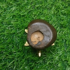 Chakra Ram Shaligram