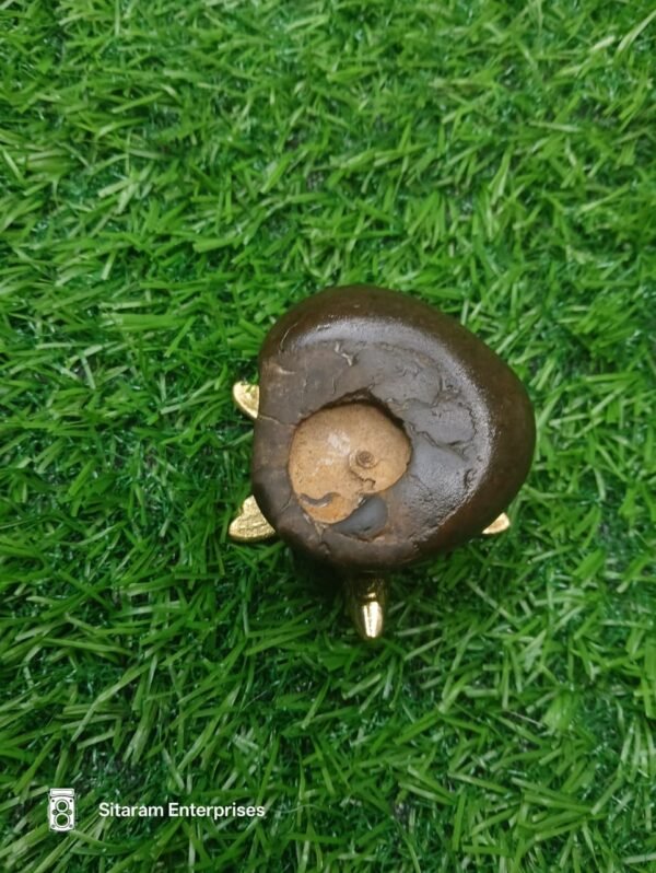 Chakra Ram Shaligram