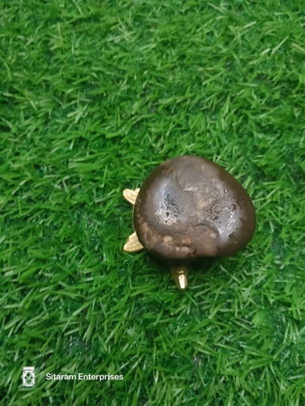 Chakra Ram Shaligram - Image 4