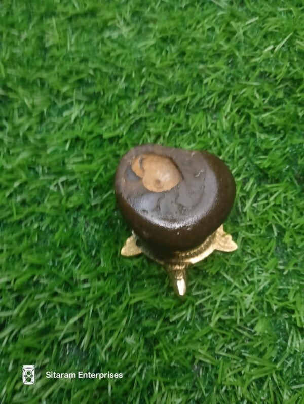 Chakra Ram Shaligram - Image 3