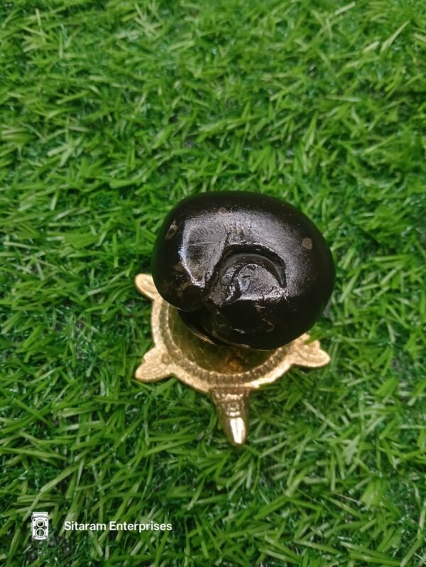 Porshuram Shaligram - Image 6