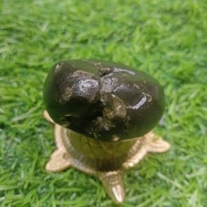 Porshuram Shaligram