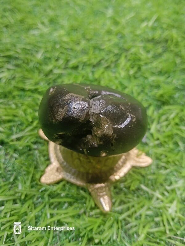 Porshuram Shaligram