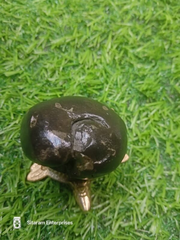 Porshuram Shaligram - Image 5