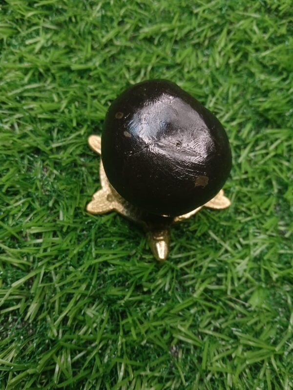 Porshuram Shaligram - Image 3