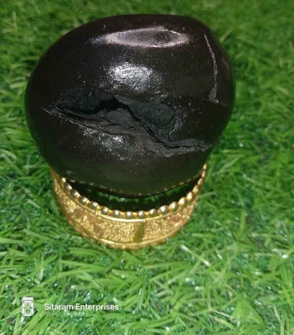 Lakshmi Narayan Shaligram - Image 5