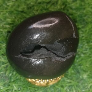 Lakshmi Narayan Shaligram