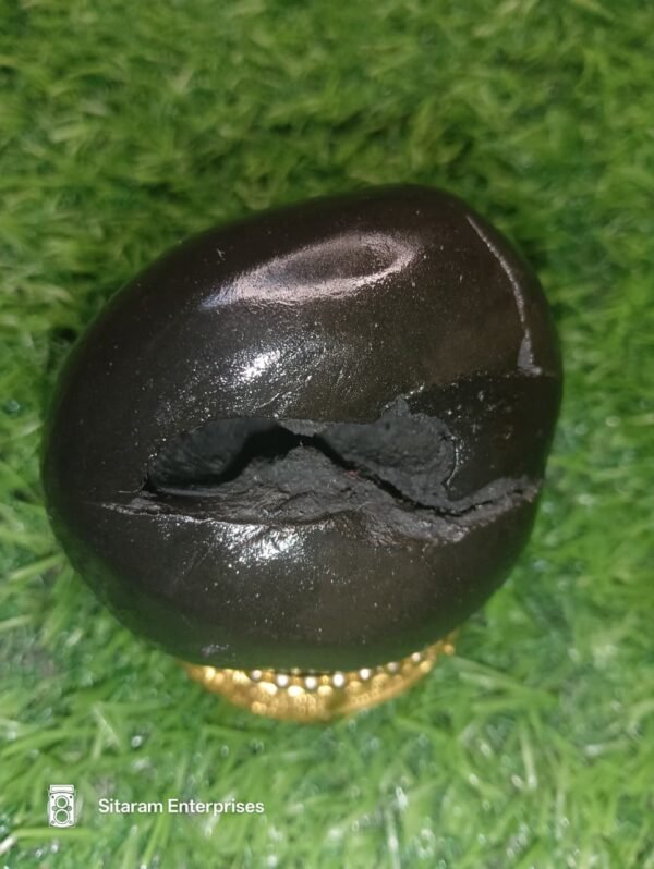 Lakshmi Narayan Shaligram