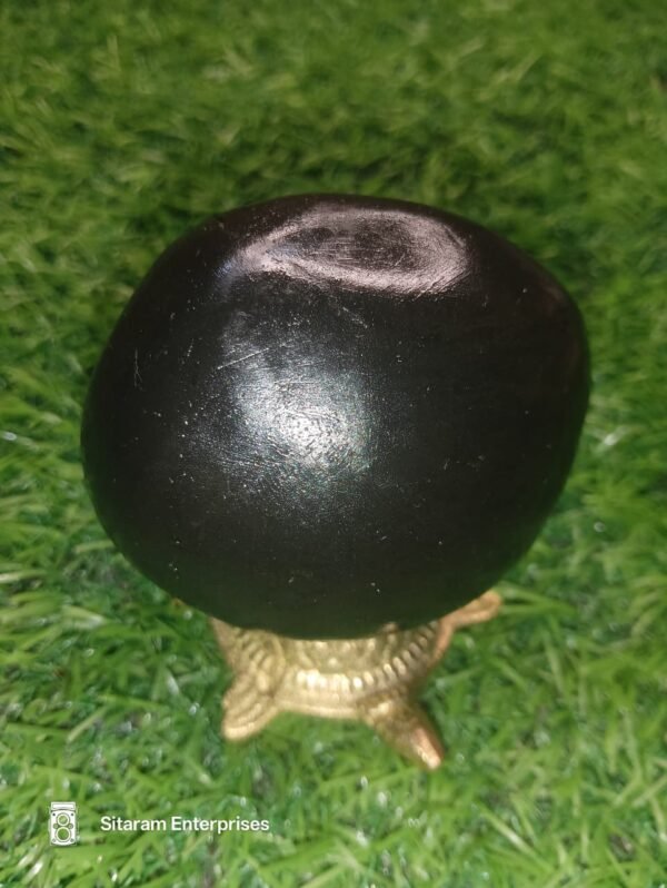 Lakshmi Narayan Shaligram - Image 7