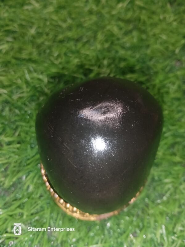 Lakshmi Narayan Shaligram - Image 8