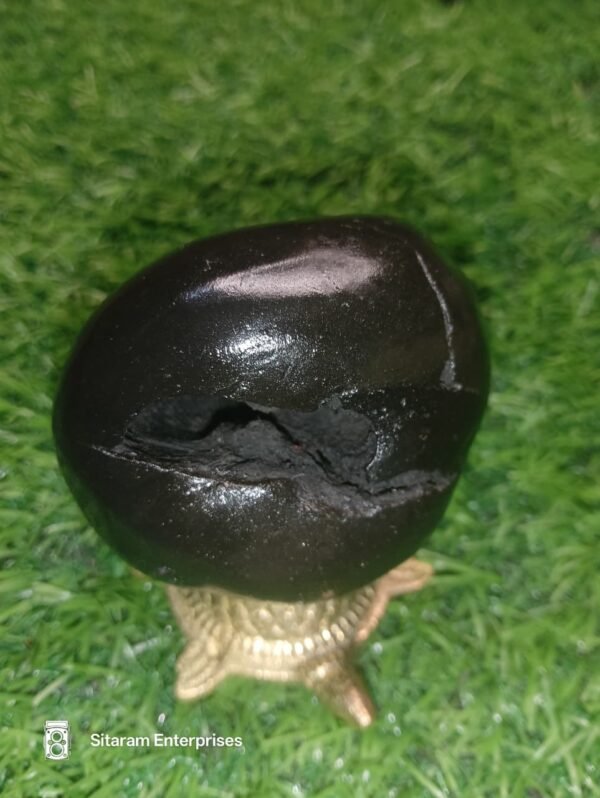 Lakshmi Narayan Shaligram - Image 6