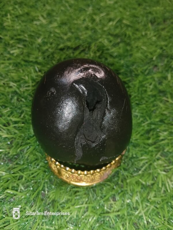 Lakshmi Narayan Shaligram - Image 10