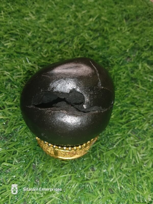 Lakshmi Narayan Shaligram - Image 11