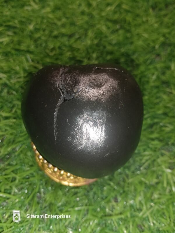 Lakshmi Narayan Shaligram - Image 9