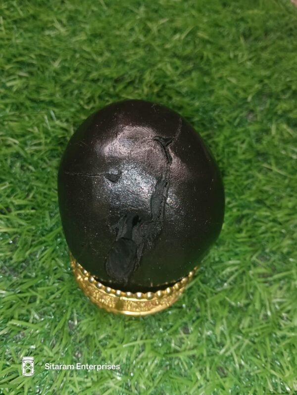 Lakshmi Narayan Shaligram - Image 4