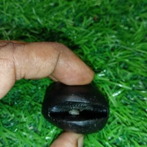 Laxmi Janardan Shaligram Shila Prabhu