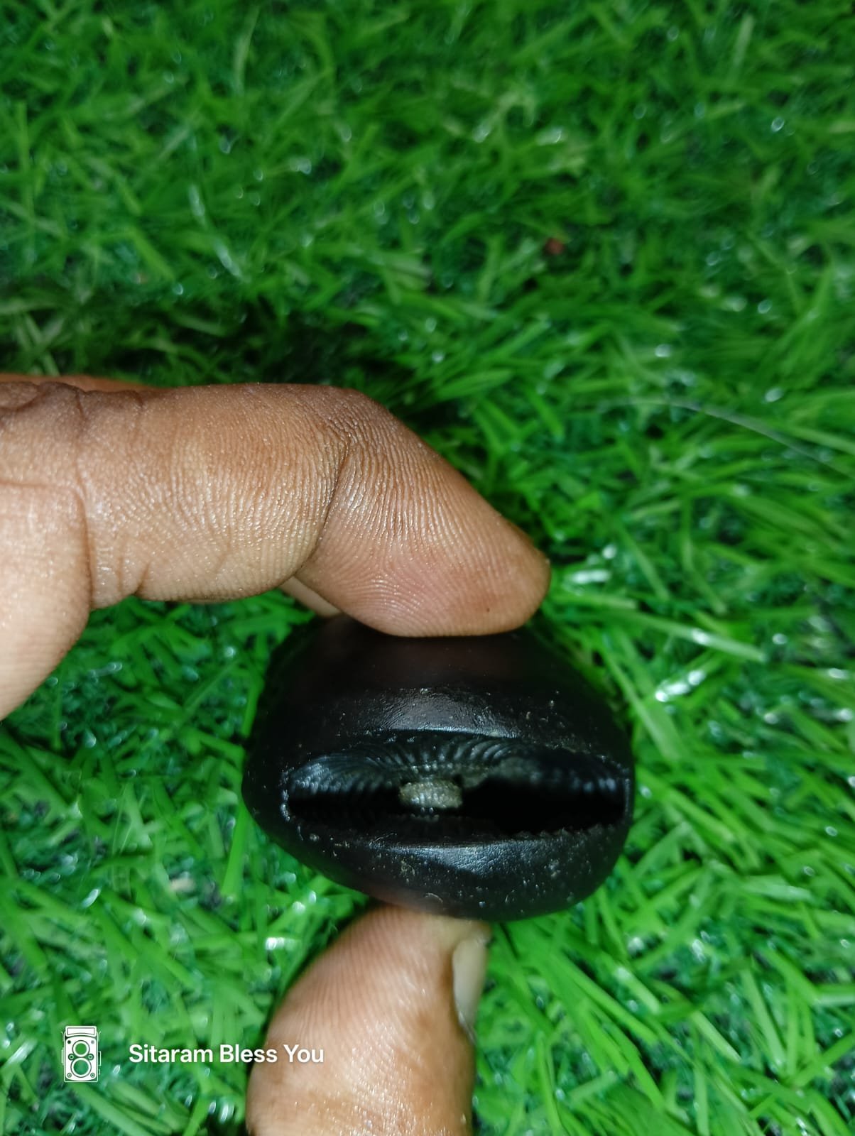 Laxmi Janardan Shaligram Shila Prabhu